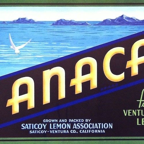 Original ANACAPA LEMON CITRUS CRATE Label Saticoy Ventura Co California NOS