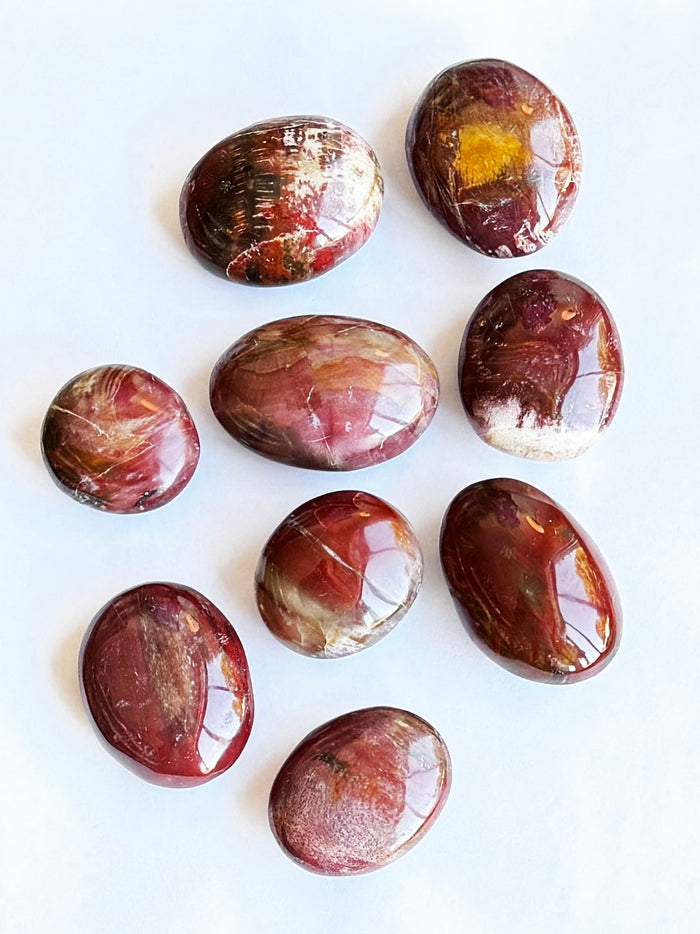 Petrified Wood Palmstone