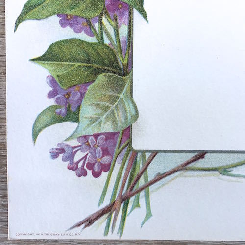 PURPLE LILAC Presentation Panel Lithograph Print 1910