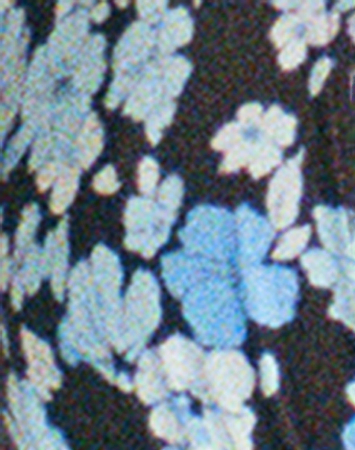 Cerry Bikini Top in Pastel Blue Floral
