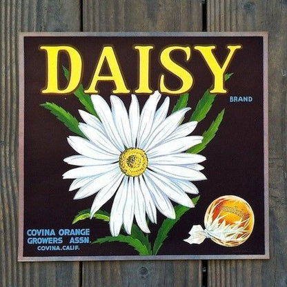 DAISY SUNKIST Fruit Crate Box Label 1950s
