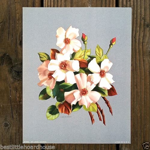 EUGENIA GRANT FLORAL BOUQUET Lithograph Art Print 1950