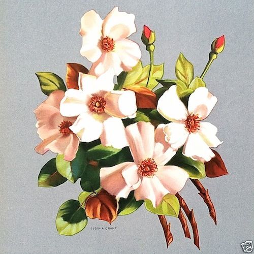 EUGENIA GRANT FLORAL BOUQUET Lithograph Art Print 1950