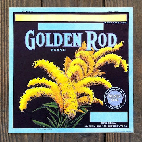 GOLDEN ROD Citrus Crate Fruit Box Label