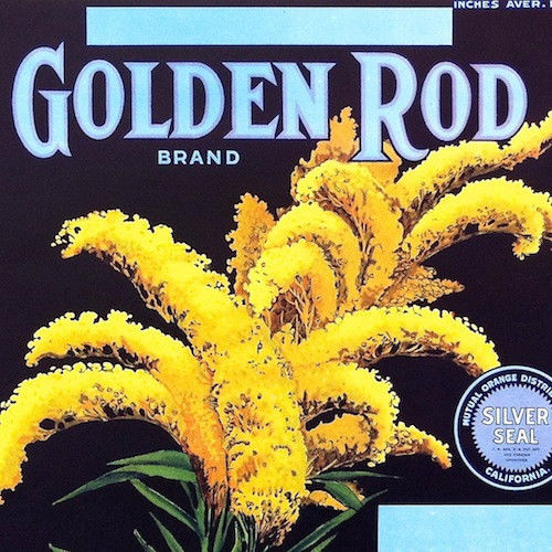 GOLDEN ROD Citrus Crate Fruit Box Label