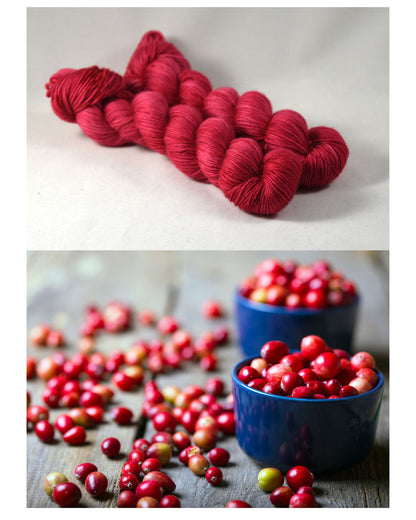 Destination Yarn fingering weight yarn Holiday 2022 Collection - Tropical Colorways Set