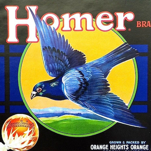 HOMER SUNKIST Orange Citrus Crate Box Label