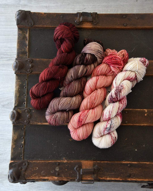 Destination Yarn fingering weight yarn Hometown Collection Full Skein Set - Main Street