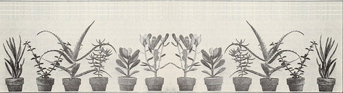 House Plants Bumper Sticker