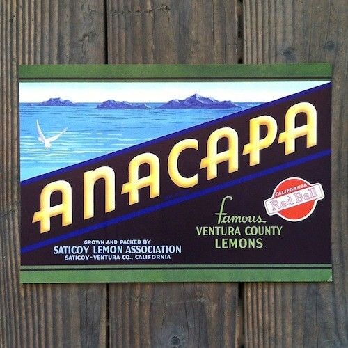 Original ANACAPA LEMON CITRUS CRATE Label Saticoy Ventura Co California NOS
