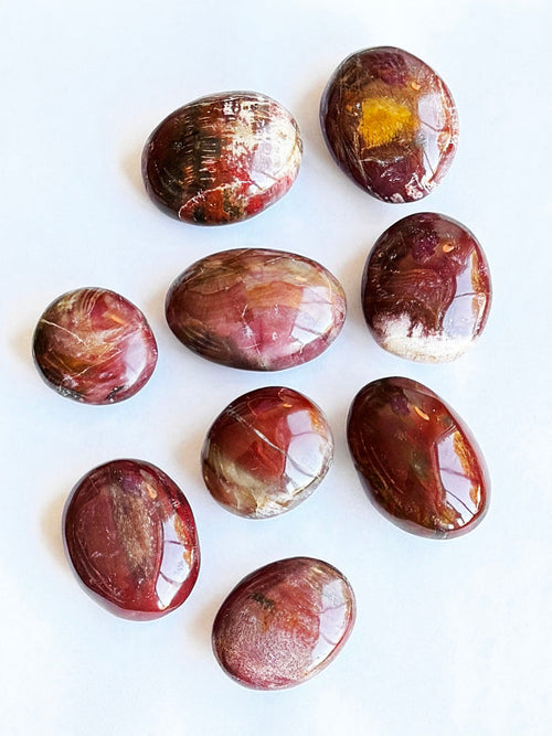 Petrified Wood Palmstone