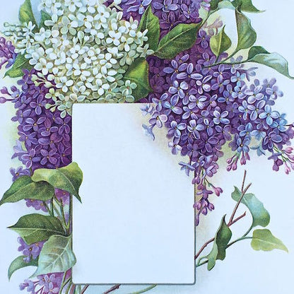 PURPLE LILAC Presentation Panel Lithograph Print 1910