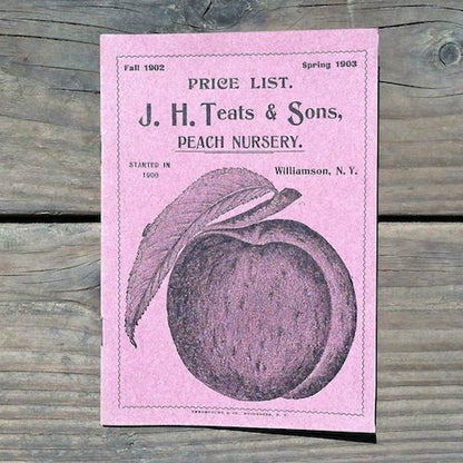 TEATS PEACH NURSERY Garden Booklet 1900s