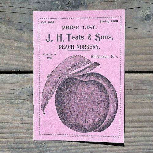 TEATS PEACH NURSERY Garden Booklet 1900s