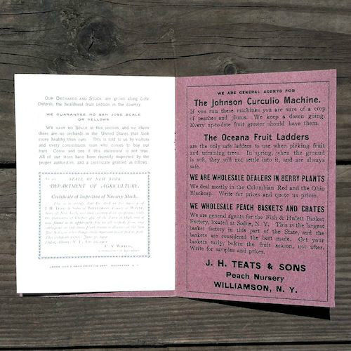 TEATS PEACH NURSERY Garden Booklet 1900s
