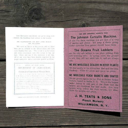 TEATS PEACH NURSERY Garden Booklet 1900s